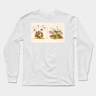 Sinningia concinna - Botanical Illustration Long Sleeve T-Shirt